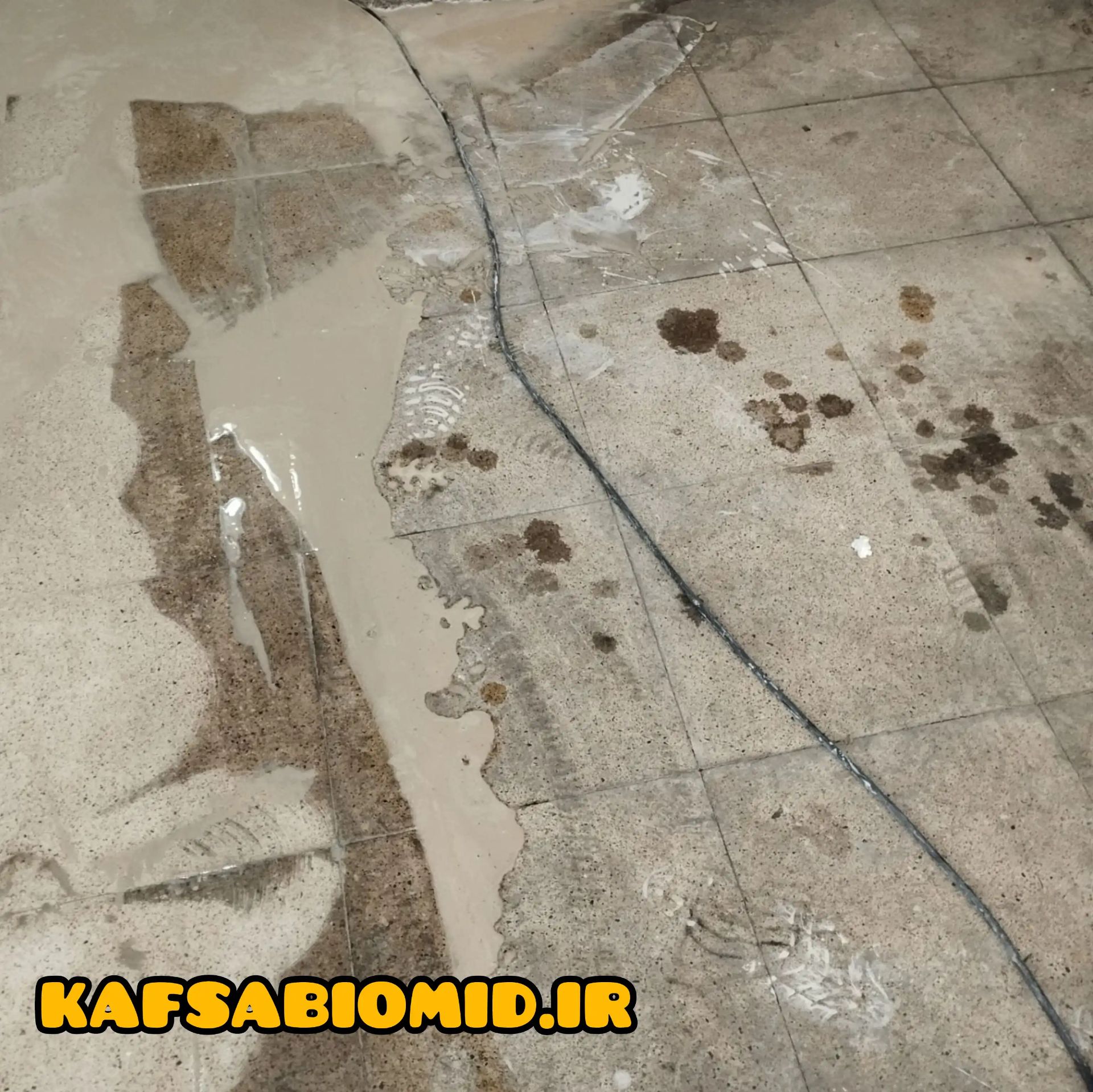 کفسابی در کردستان