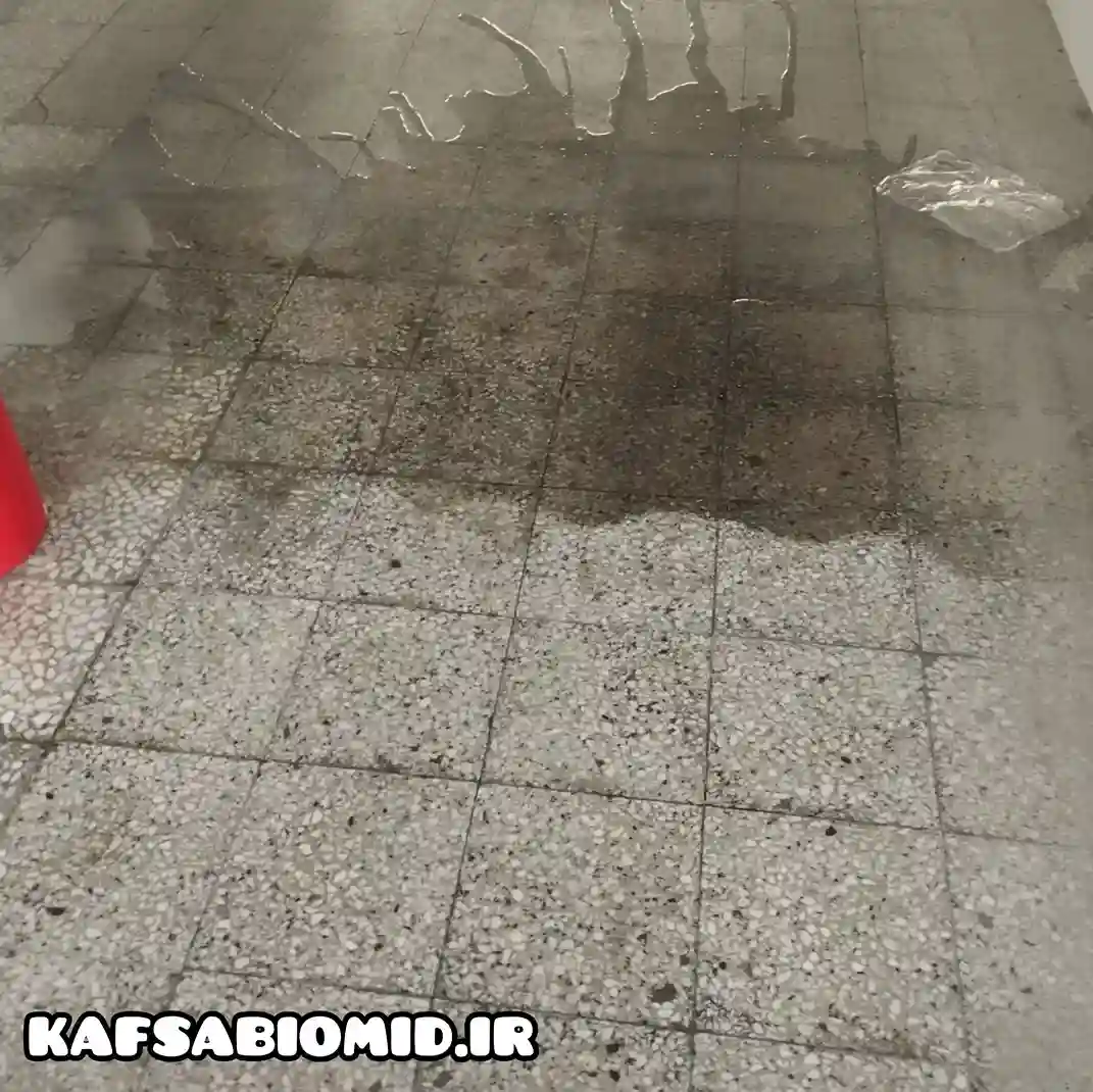 کفساب نوشهر