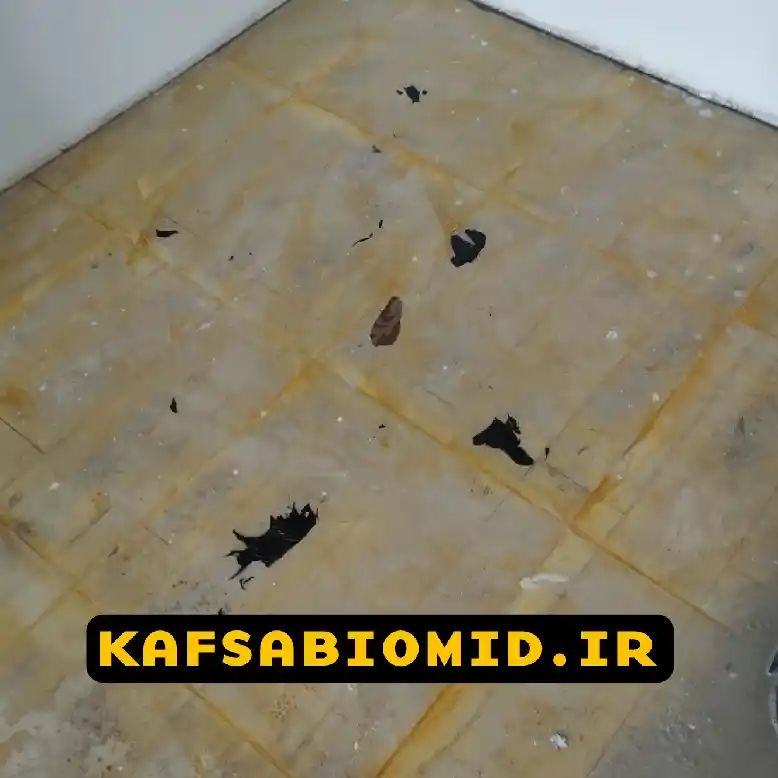کفسابی سرامیک در تهران